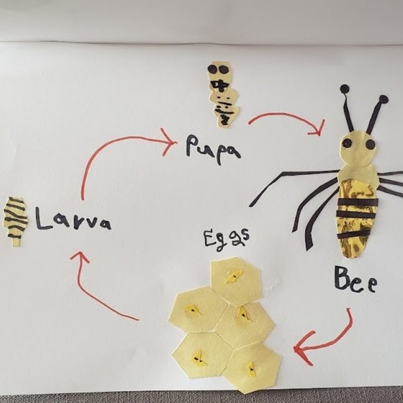 Meet your Posher, Zey - Picture 6 of 10